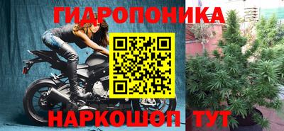 трава Партизанск
