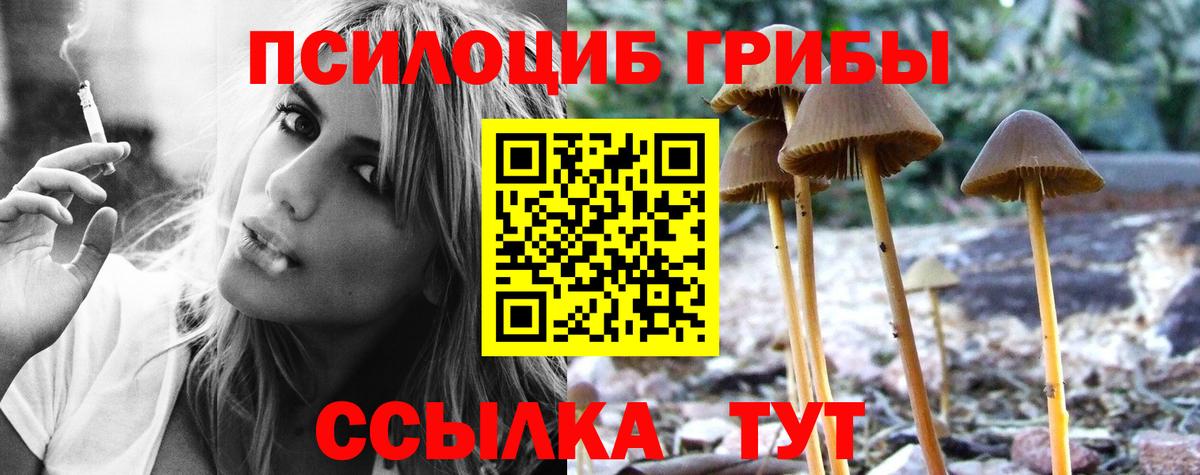 Псилоцибиновые грибы Magic Shrooms Сибай