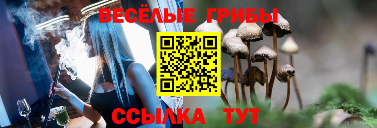 Сибай  Псилоцибиновые грибы Psilocybine cubensis  купить закладку  Вход с VPN  Псилоцибиновые грибы MAGIC MUSHROOMS 