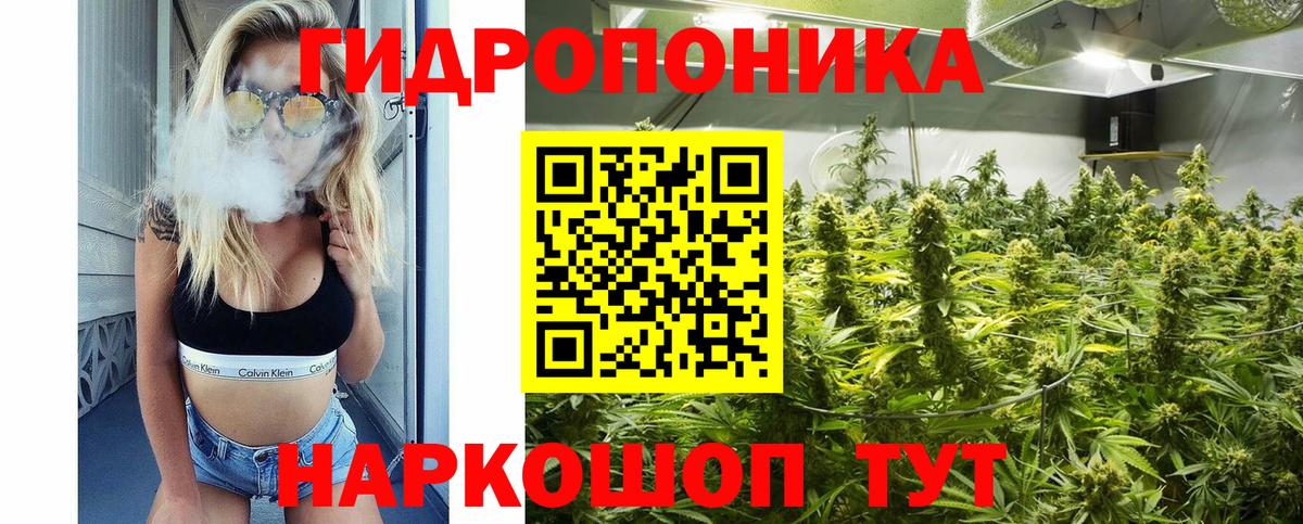 Сибай  Бошки Шишки тримм  Вход с VPN  Марихуана THC 21%  Бошки Шишки семена  Конопля гибрид 